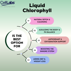 StemLabs® Liquid Chlorophyll 500ml Drink for Detox and Cleanse