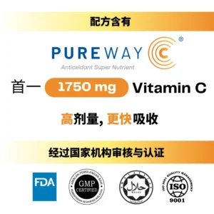 StemLabs® Juisi-C 1750mg - 免疫力产品